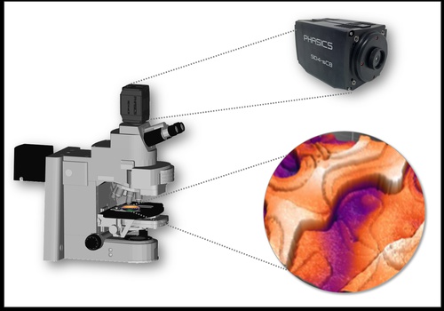 Surface measurement with SID4 sC8 quantitative phase imaging camera integrated on an optical microscope